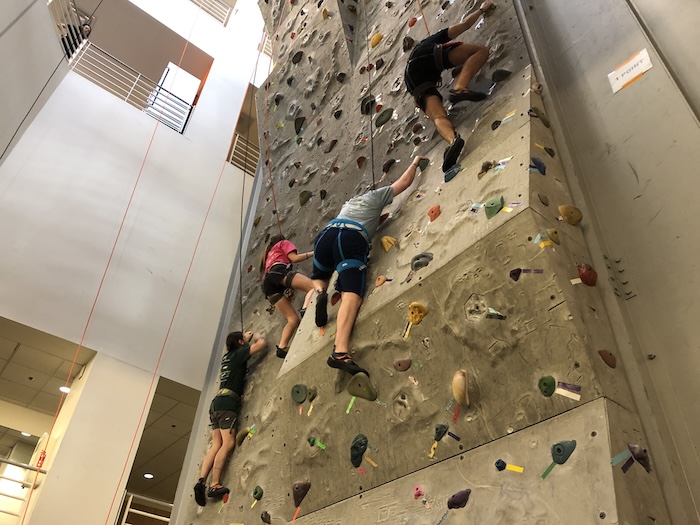 Illinois Center Chicago Rock Climbing Wall - Adult Rock Climbing