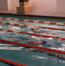 Track Your Swim Distance and Boost Your Lap Swimming Progress